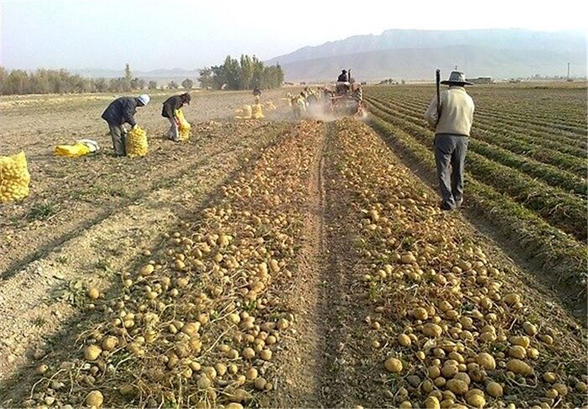 تامین نیازهای کشاورزان استان همدان