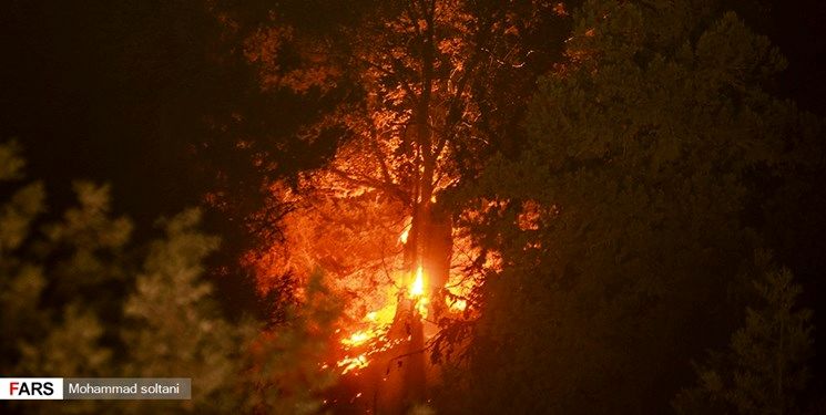 آتش سوزی در بوستان پردیسان تهران + جزئیات