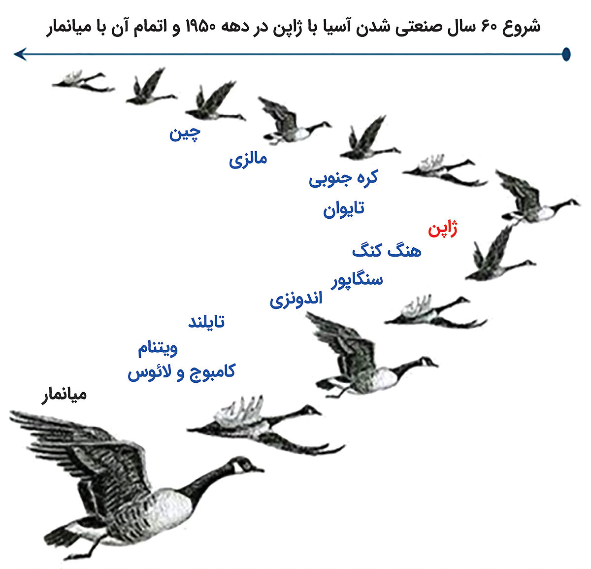الگوی پرواز غازها