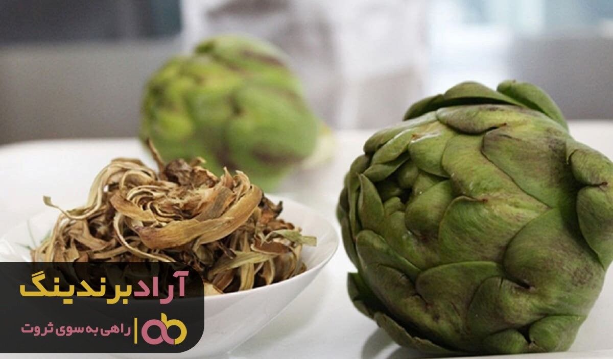 کنگر فرنگی تازه بخورید تا سالم بمانید!!!