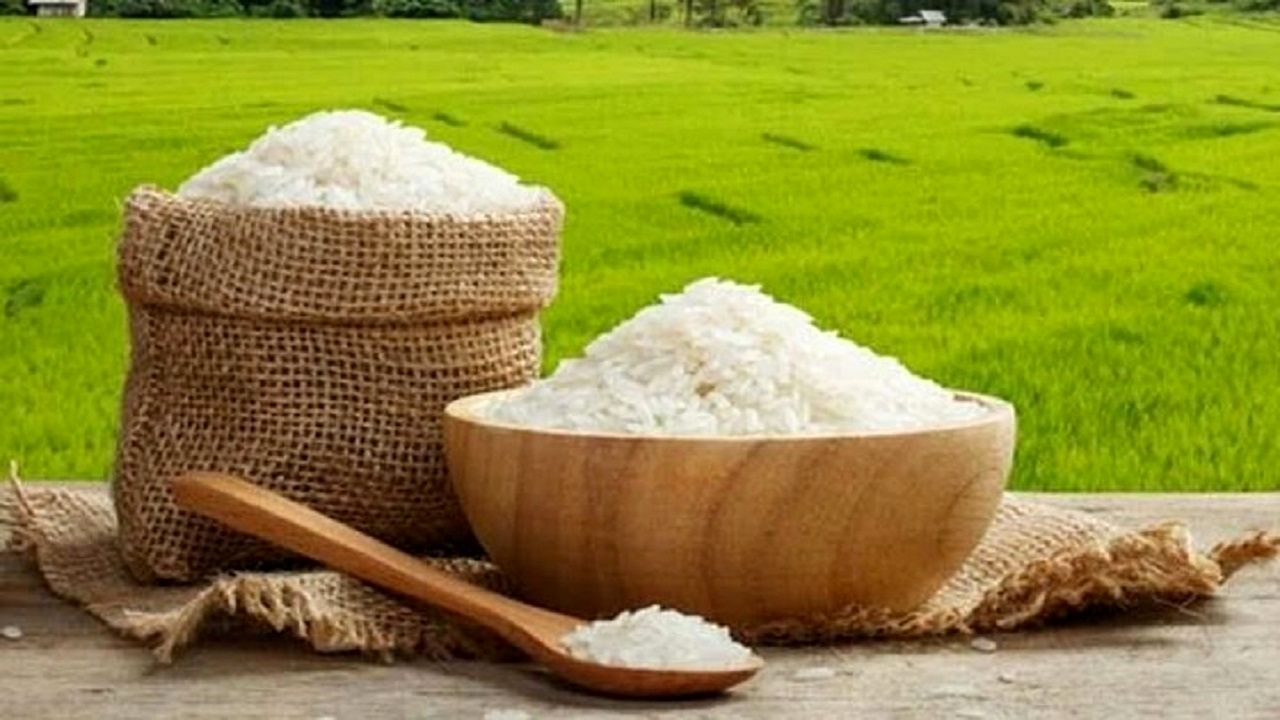 برنج چقدر ارزان می‌شود؟ 