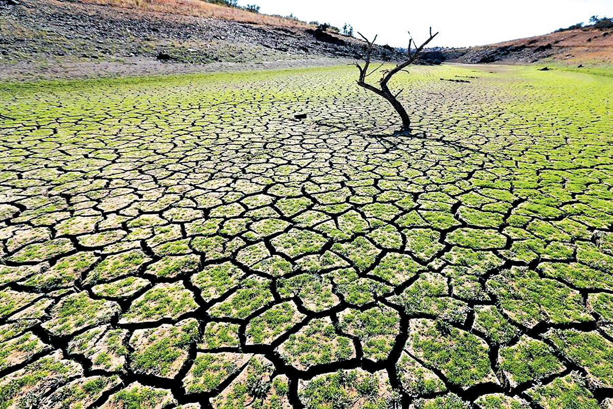 خشکسالی هزار و ۸۳۰ میلیارد ریال به کشاورزی کاشان خسارت زد