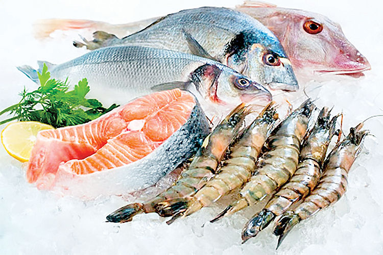 شیب تند افزایش قیمت ماهی در بازار