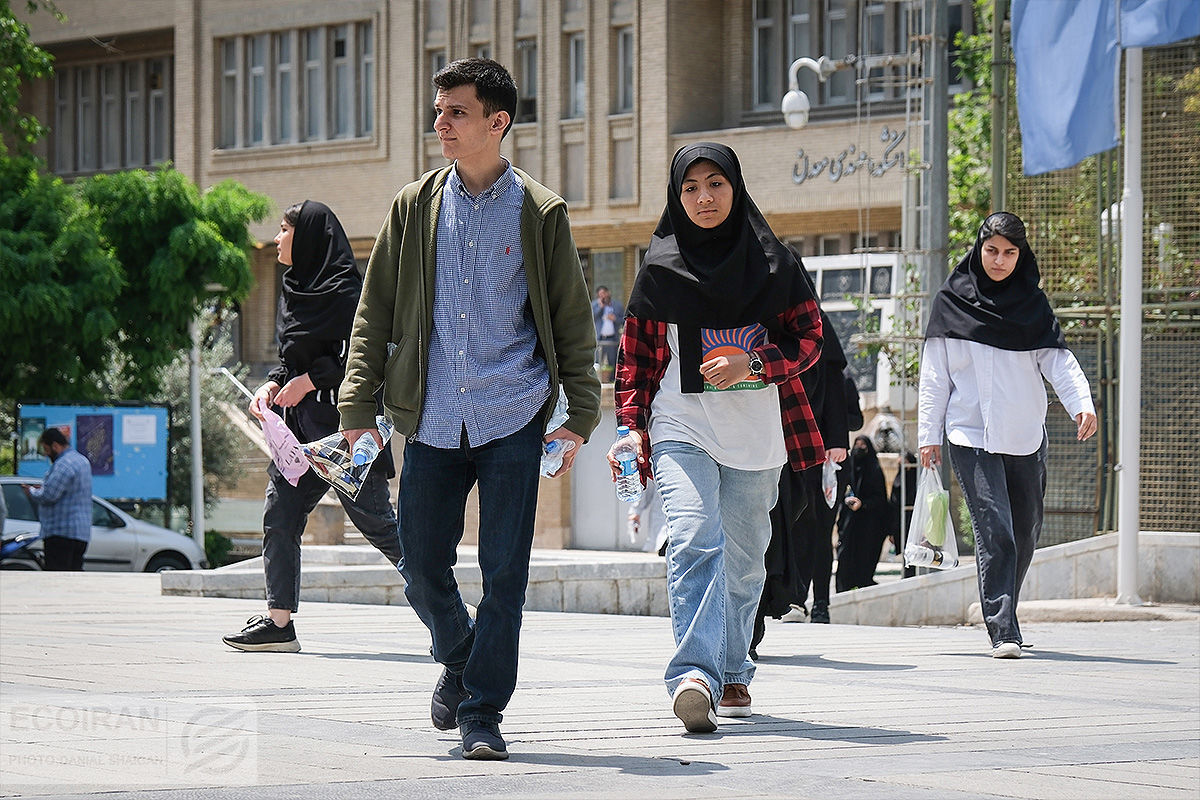 سهم دانشگاه از بازار کار ایران / سواد نان می‌آورد؟ + نمودار

