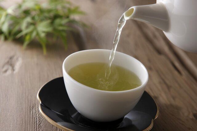 ترکیبات موجود در چای سبز چه تاثیری بر سرطان دارند؟