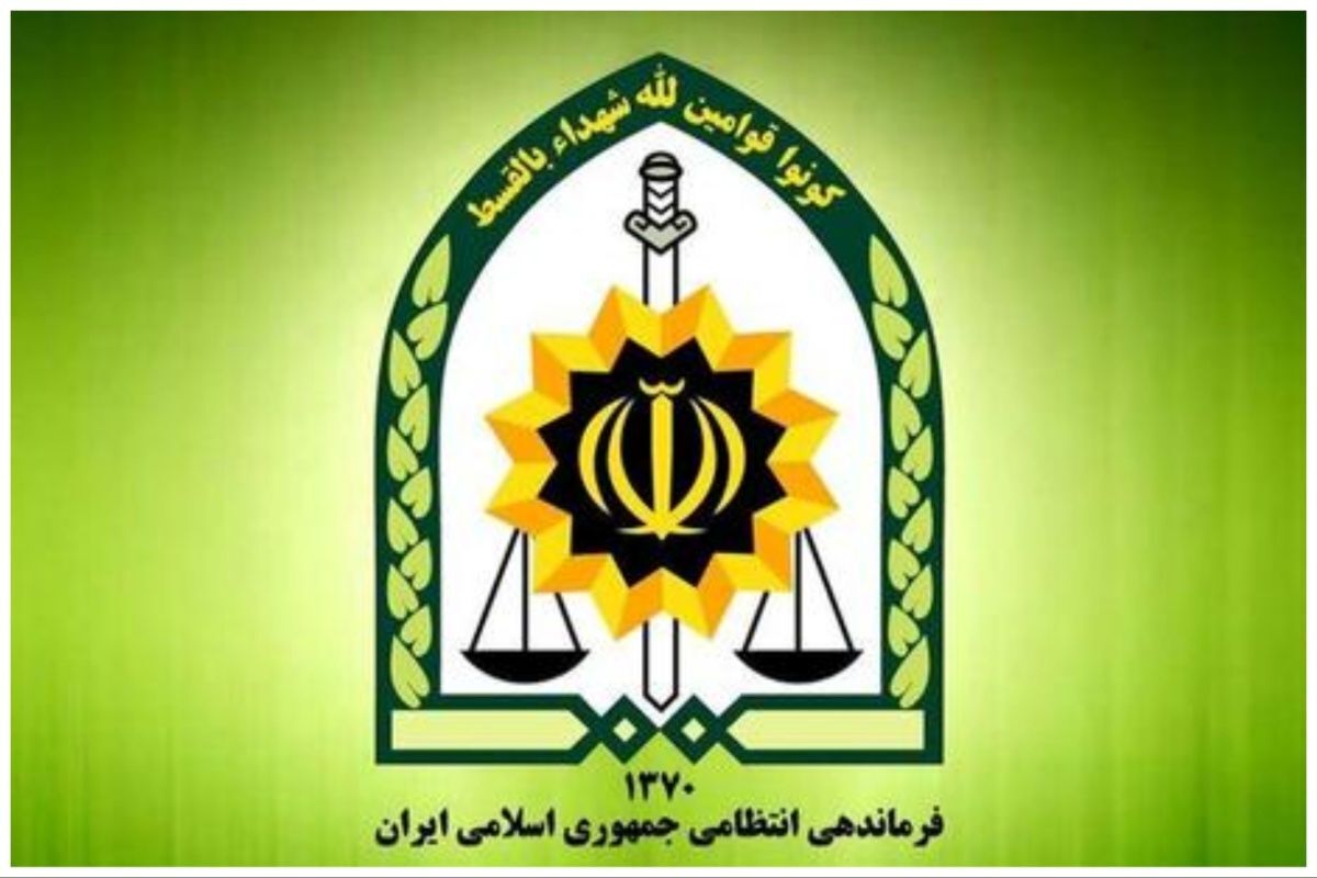 جزئیات جدید از بازداشت مرد مهاجم به خودروی یک زن در خیابان
