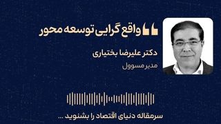 واقع‌گرایی توسعه‌محور 
