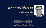 واقع‌گرایی توسعه‌محور 
