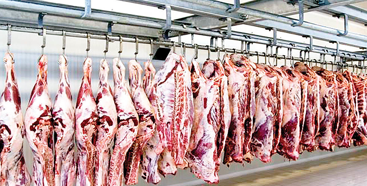 چالش‌های صنعت گوشت بعد از جراحی  اقتصادی