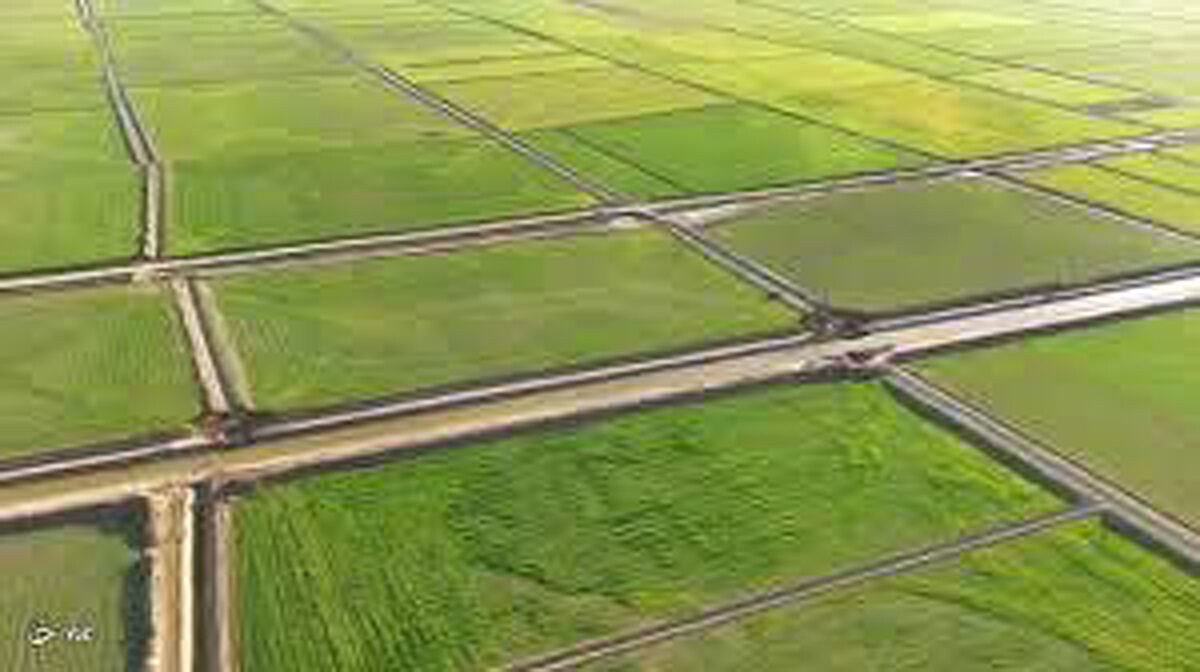 رفع تداخل 780  پلاک کشاورزی  در دو سال گذشته