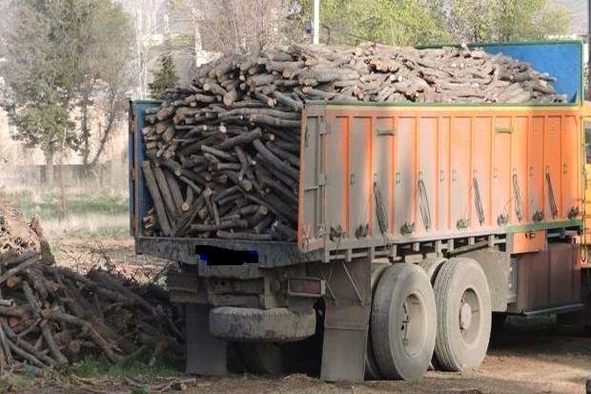 ۱۷ تن چوب قاچاق در تبریز کشف و توقیف شد