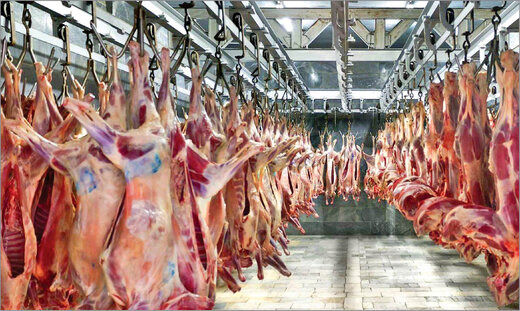 قیمت گوشت گوسفندی حمایتی کیلویی چقدر است؟