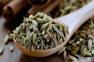 این گیاه دوای دردهای گوارشی است