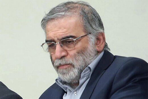 یک نماینده از علت اصلی ترور ‎شهید فخری‌زاده گفت