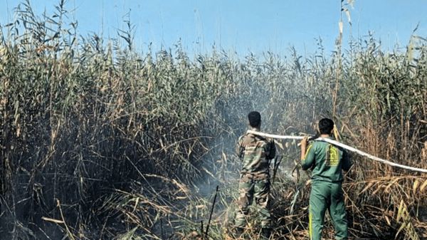 عامل آتش‌سوزی در تالاب انزلی دستگیر شد