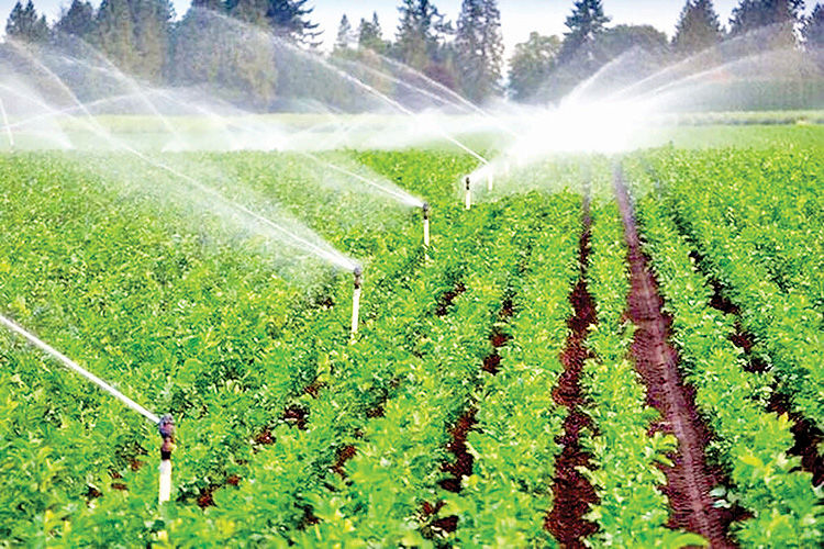 لزوم سرمایه‌گذاری 1600‌میلیارد تومانی برای پروژه‌‌های آب و خاک