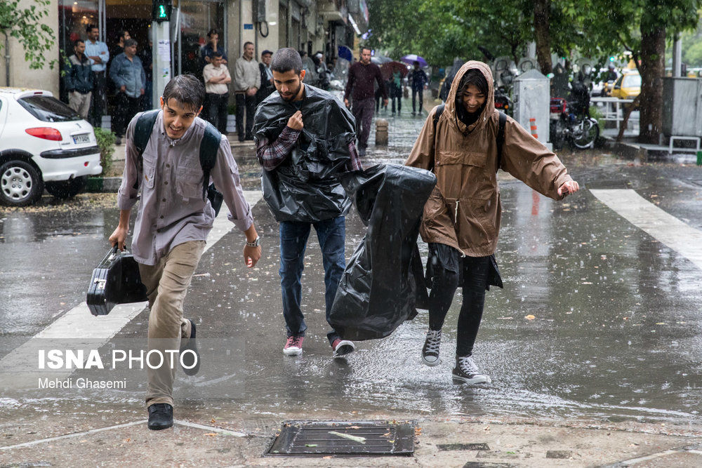 این استان ها رکورد دار بیشترین بارندگی شدند