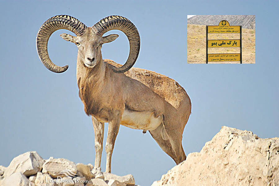 ثبت پارک ملی بمو