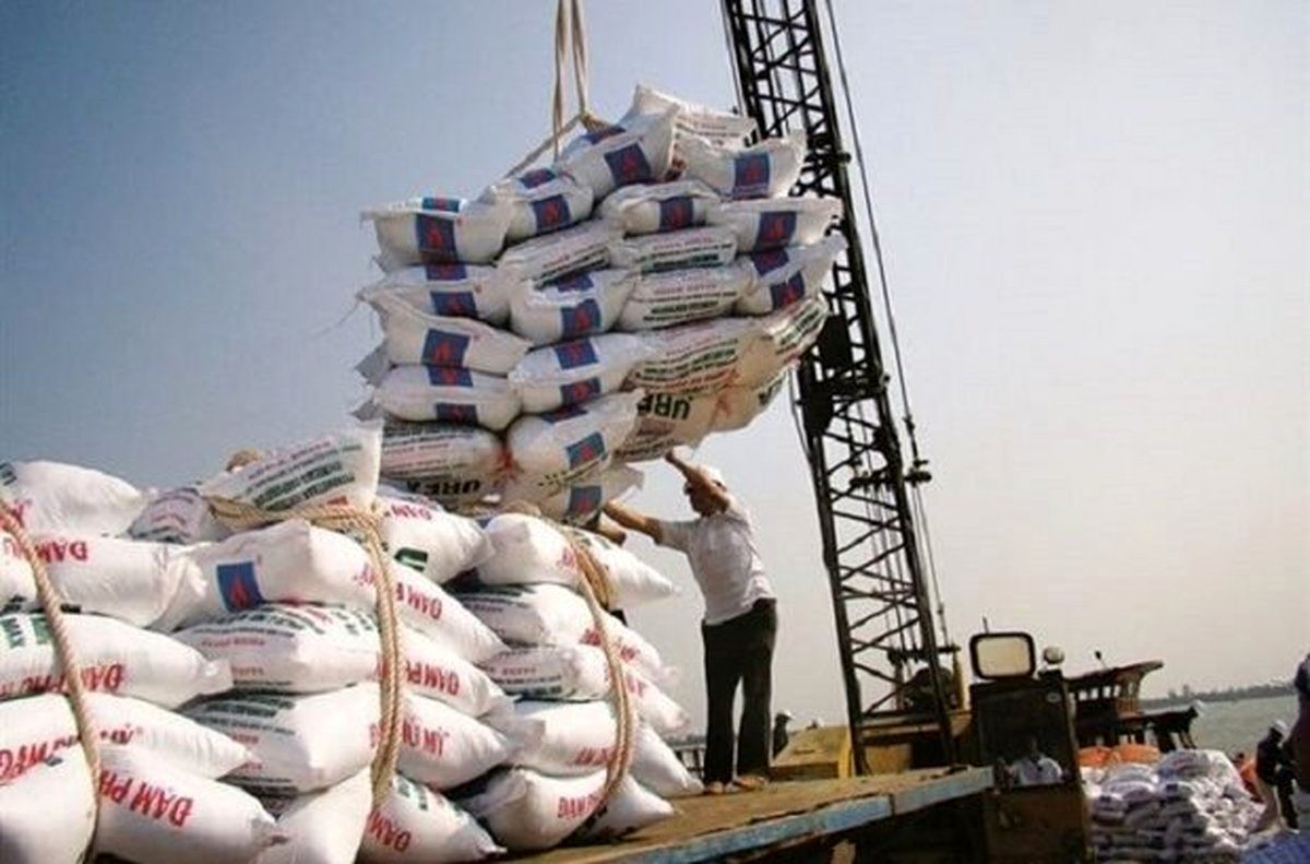 لغو ممنوعیت واردات برنج/ ثبت‌ سفارش 100 هزار تن در 24 ساعت