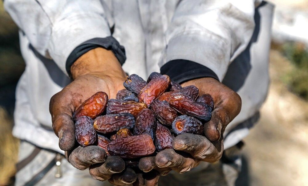 قطب «شکلات طبیعی» ایران