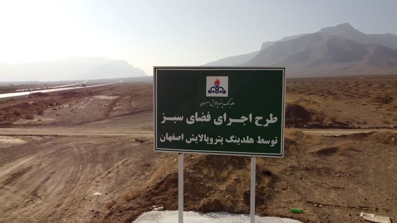 توجه پترو پالایش اصفهان به محیط زیست؛ در مرحله اول جنگل کاری ۳۰۰هکتاری را در این شرکت رقم زد