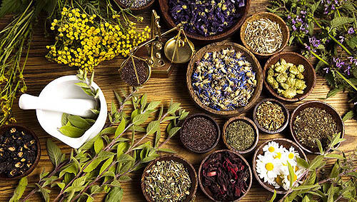 افق صادرات داروهای گیاهی تا 2050