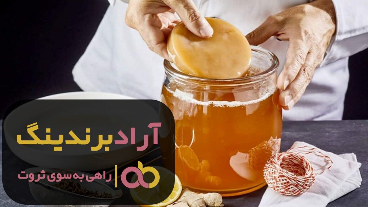 فروش کامبوجا قارچ هفت گیاه کرج