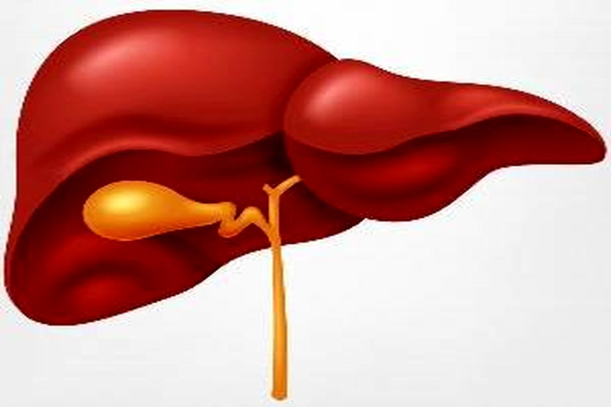 درباره کیست کبد بیشتر بدانیم