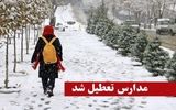 این مدارس زنجان شنبه غیرحضوری شد