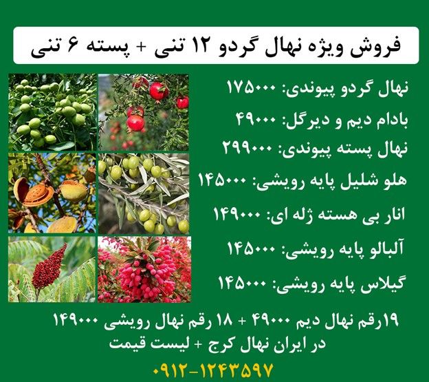 فروش ویژه نهال گردو پیوندی 12 تنی + پسته اصلاح شده 6 تنی زیر نظر جهاد کشاورزی