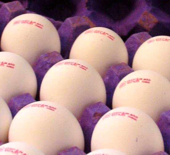 اعلام قیمت تخم مرغ‌های شناسنامه دار بسته بندی