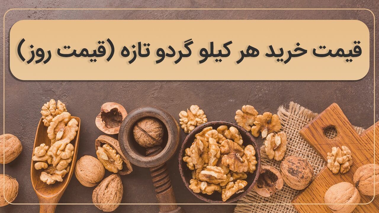 قیمت خرید هر کیلو گردو تازه (به‌روزرسانی روزانه)