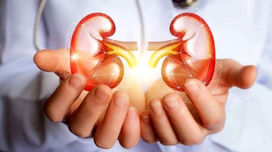 راهکارهایی برای کاهش آسیب بیماریهای کلیوی