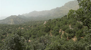 خطر بالقوه در جنگل‌های زاگرس