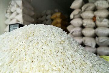 توزیع برنج پاکستانی با قیمت ۴۶ هزار تومان
