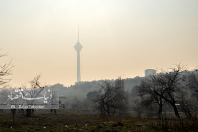 جزئیات اجرای طرح زوج و فرد در تهران 2