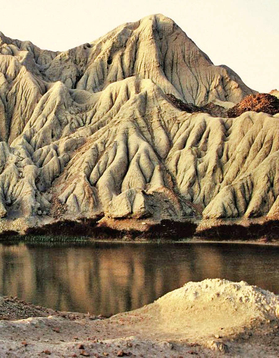 چهار بهاری در جنوب ایران