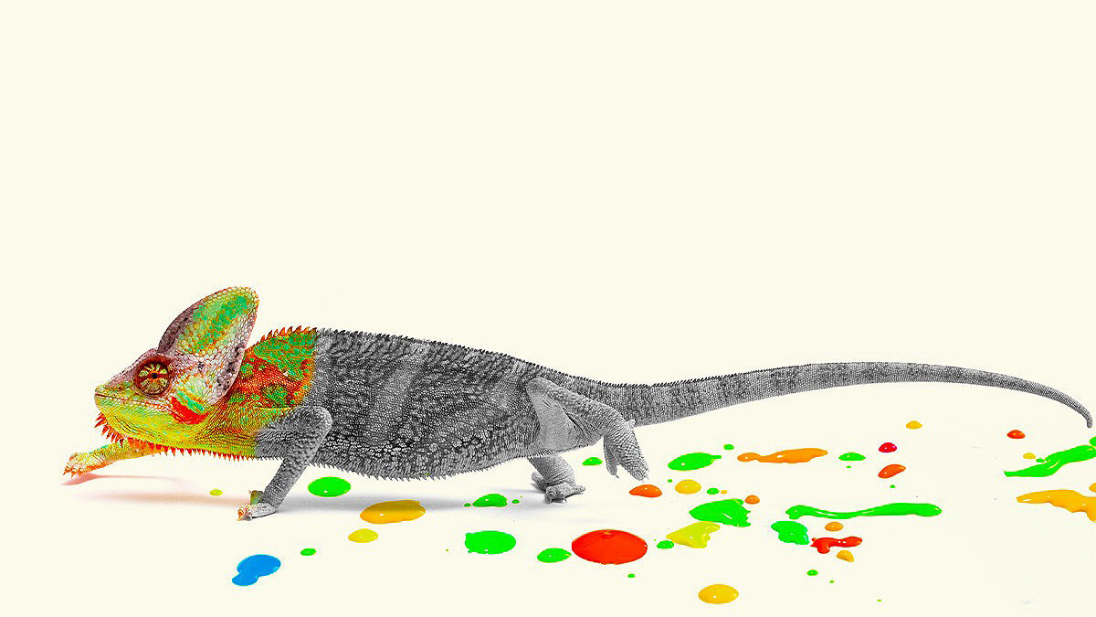 مدیر جسورتان چگونه همرنگ جماعت می‌شود؟