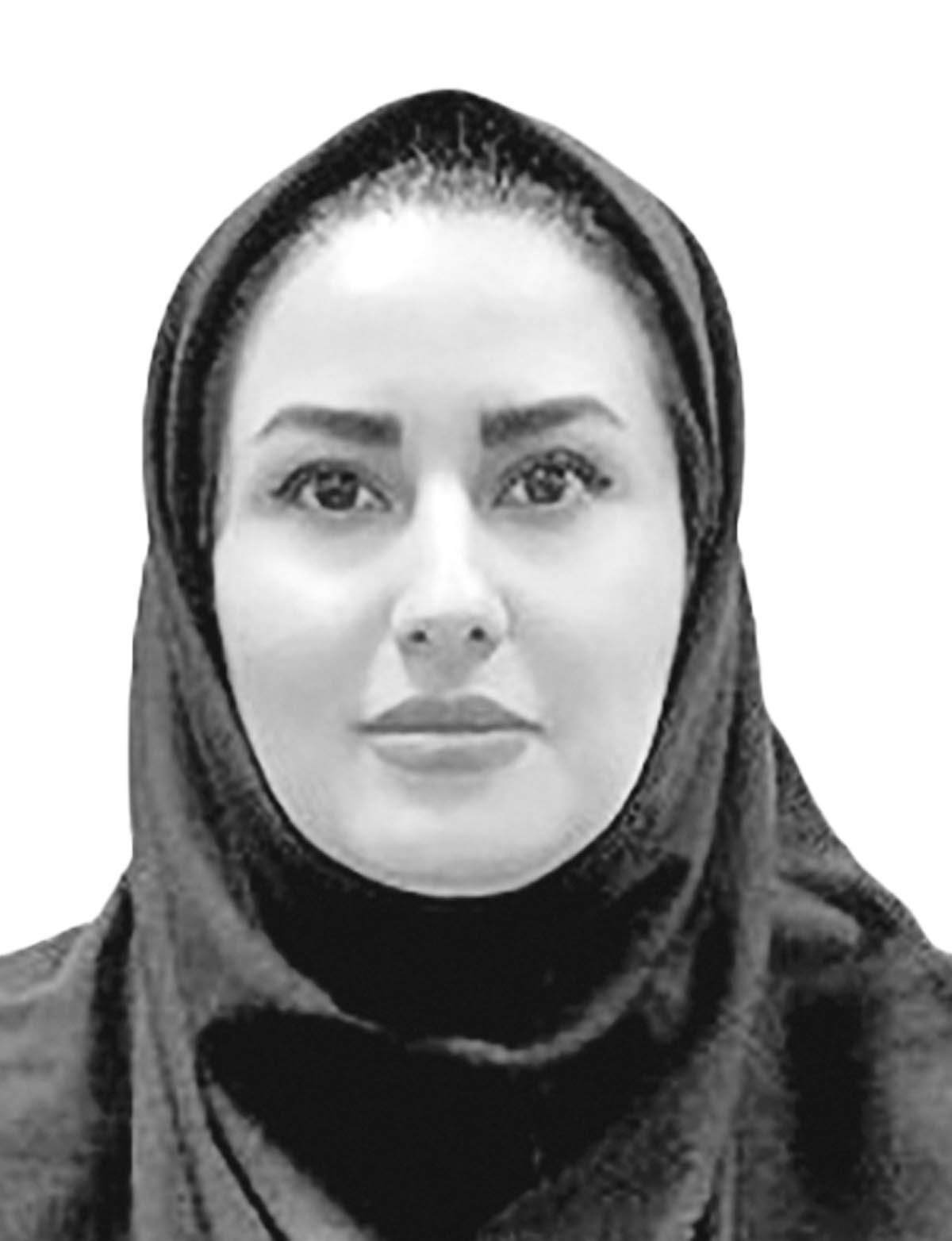 نهاد ناظر؛ از وعده تا اجرا