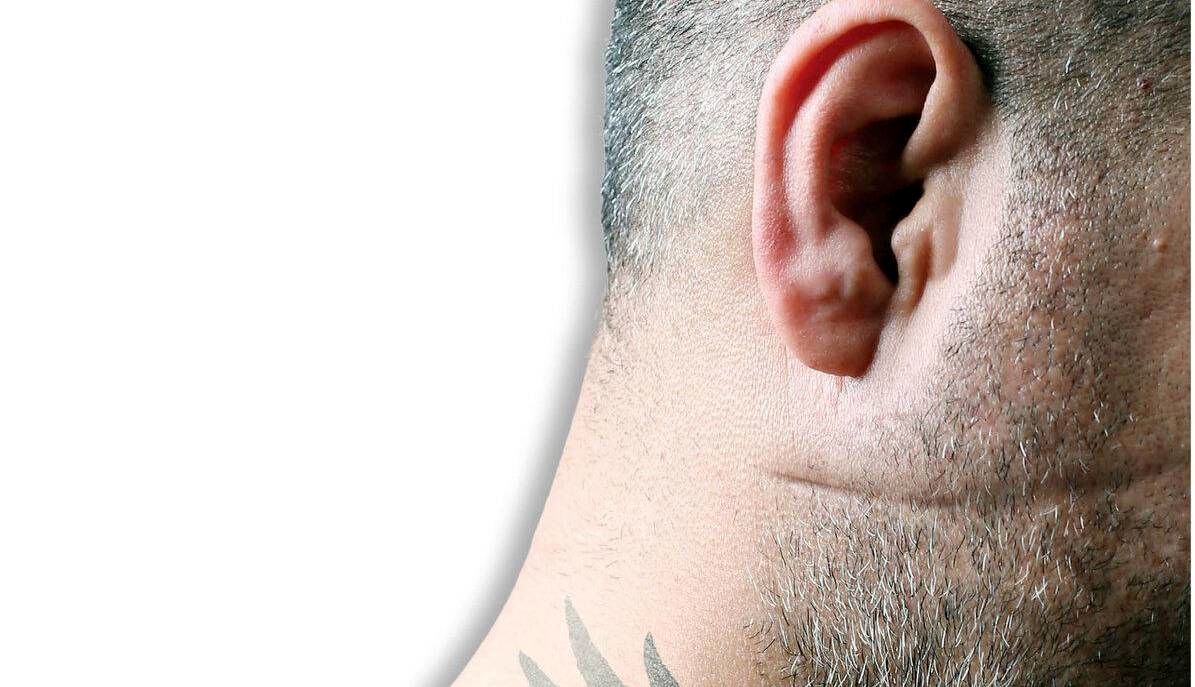 بازار آنلاین شرخری / شرخر‌های اینستاگرامی چک وصول می‌کنند، رابطه‌ها را به هم می‌زنند، گوشمالی می‌دهند و...