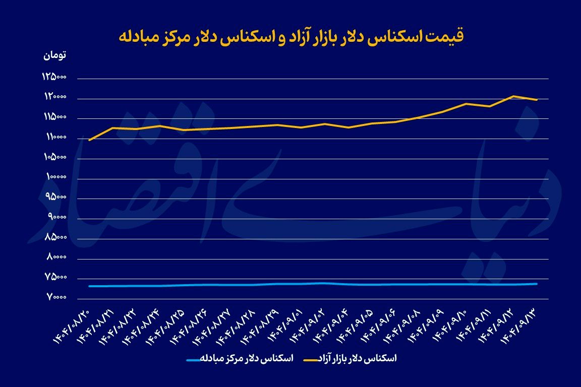 استقبال سرد از پیش‌فروش سکه