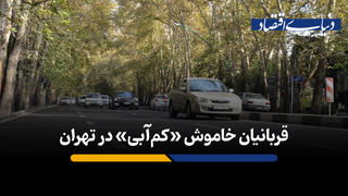 قربانیان خاموش «کم‌آبی» در تهران