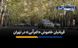 قربانیان خاموش «کم‌آبی» در تهران