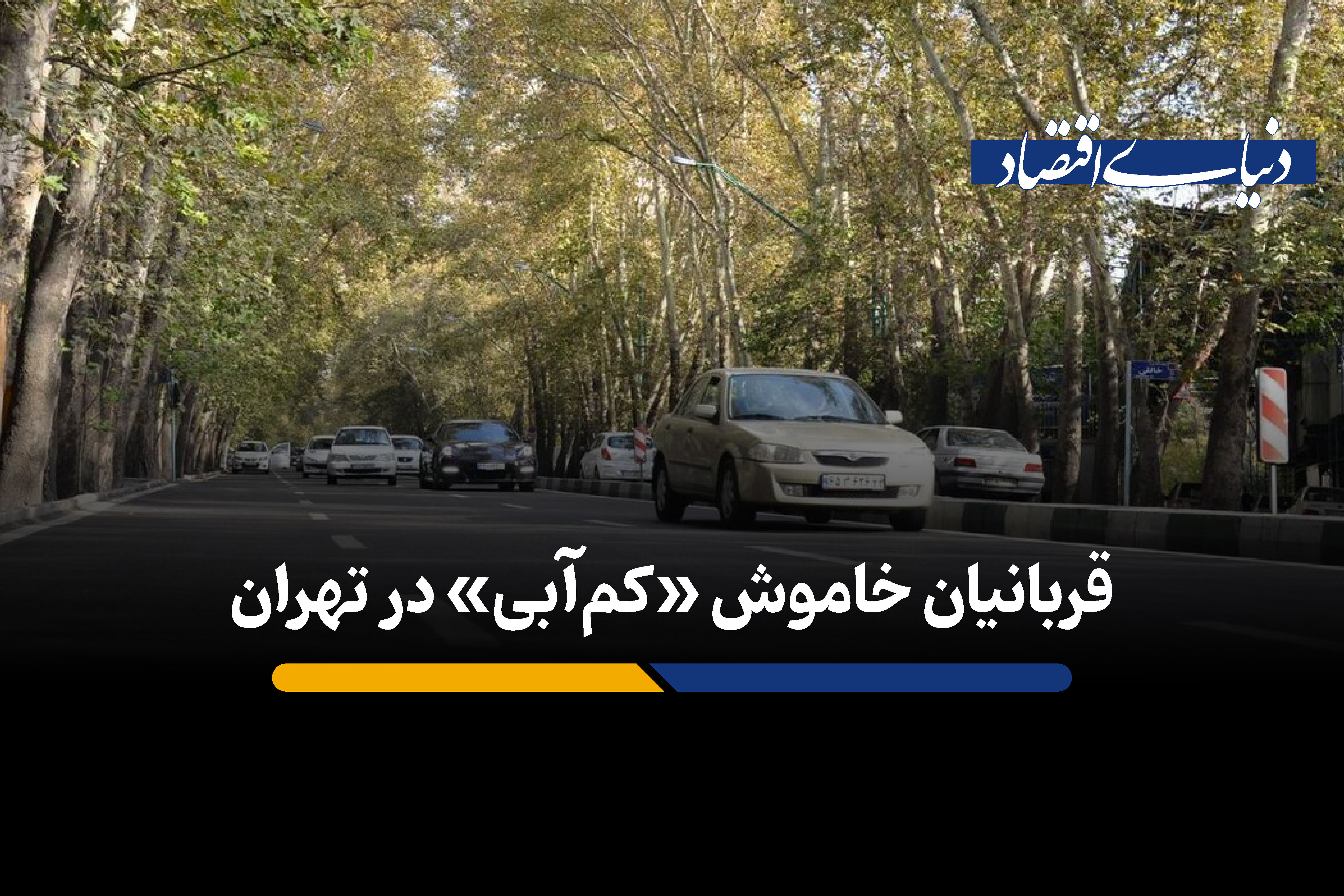 قربانیان خاموش «کم‌آبی» در تهران