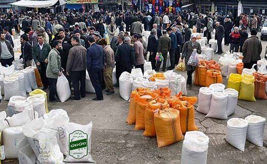 حداکثر قیمت هر کیلو برنج پاکستانی در بازار