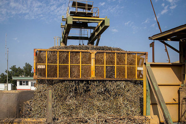  تولید متنوع با سرمایه‌گذاری فناورانه