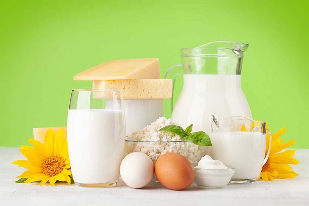 لبنیات دوست ندارید منتظر این 4 بیماری خطرناک باشید 