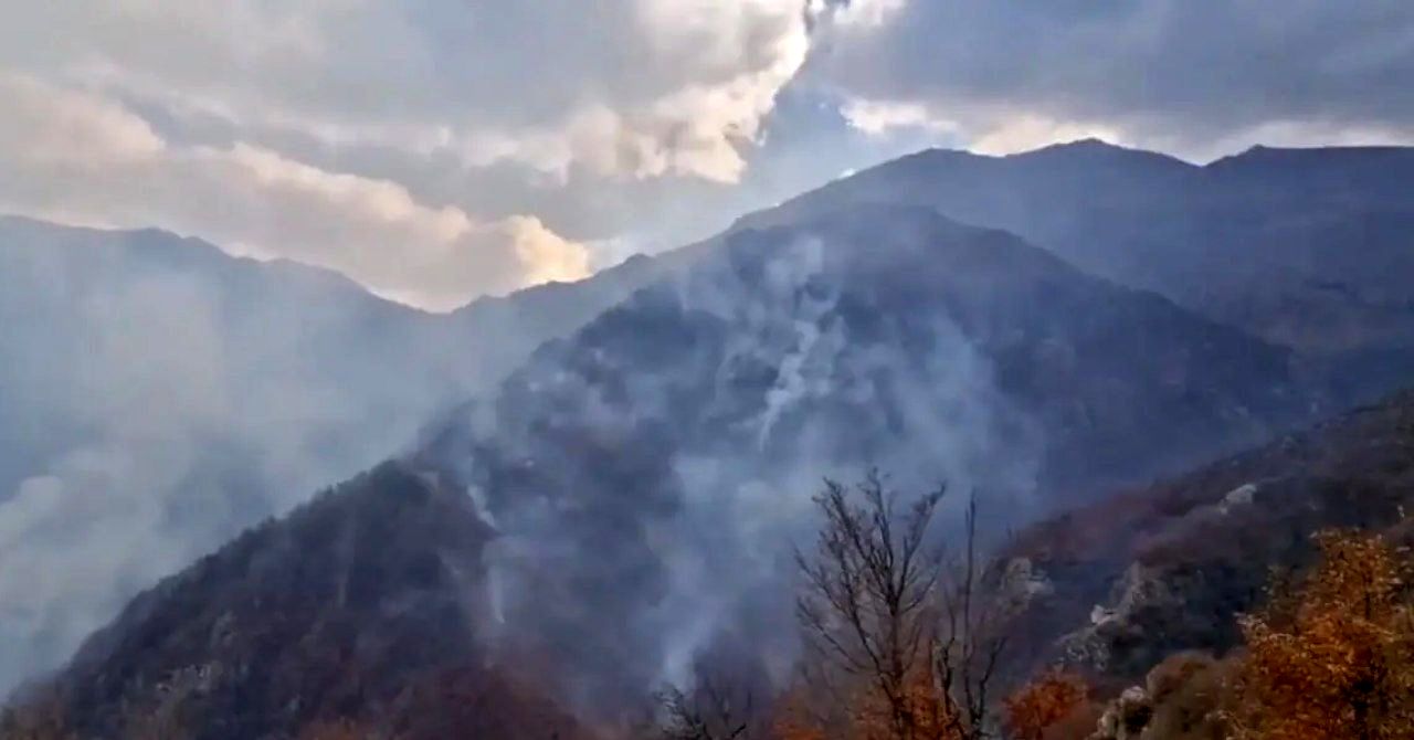 هواپیماهای ایلیوشین دقایقی دیگر به جنگل الیت می‌رسند + فیلم