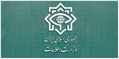اطلاعیه وزارت اطلاعات درباره برخورد با ابر شبکه قاچاق سوخت کشور