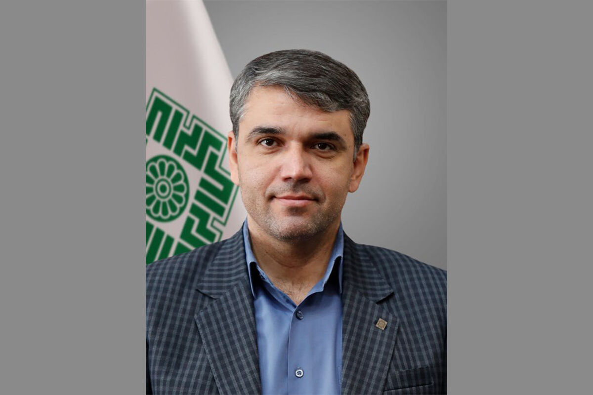 تقدیر معاون تحول هوشمند نظام مالیاتی از حسابداران، مشاوران مالیاتی و مدیران مالی 